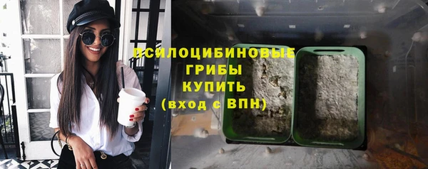 spice Алзамай